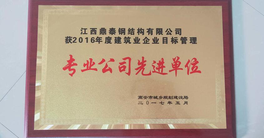 专业公司先进单位